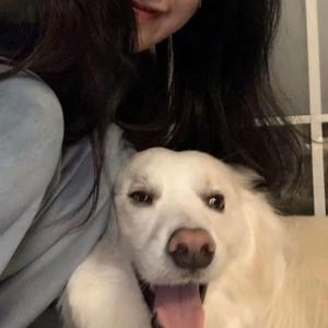 宫本留衣人妻系列作品
