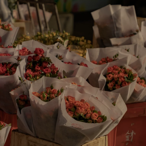 宫本留衣人妻系列作品
