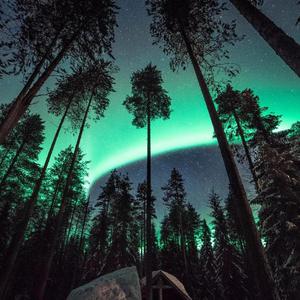 宫本留衣人妻系列作品
