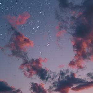 宫本留衣人妻系列作品
